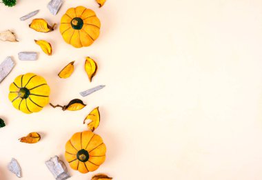 Bej renkli arka plan üzerinde dekoratif kabaklar.