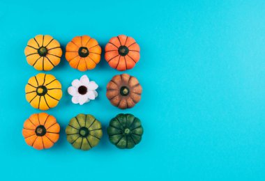 Mavi arka plan üzerinde dekoratif kabaklar.