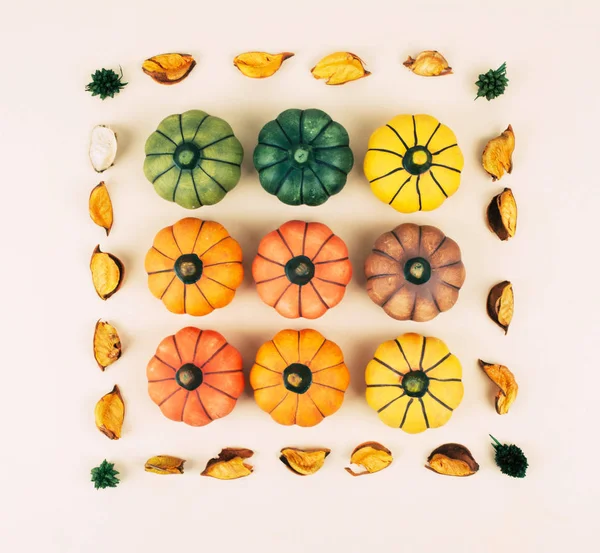 Bej renkli arka plan üzerinde dekoratif kabaklar.