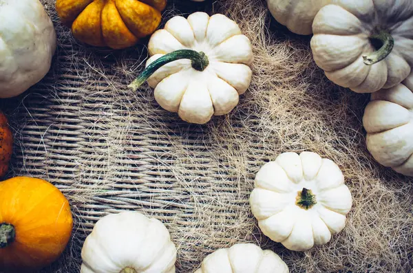 Herbststilleben mit Bio-Kürbissen. — Stockfoto