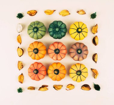 Bej renkli arka plan üzerinde dekoratif kabaklar.