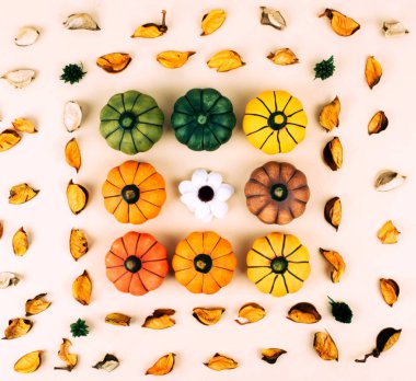 Son moda bej renkli arka plan üzerinde dekoratif kabaklar.