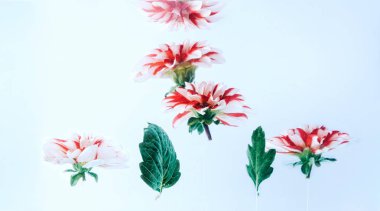 Parlak zemin üzerine güzel çiçekler levitating.