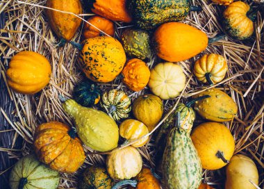 Organik kabak ile sonbahar natürmort.