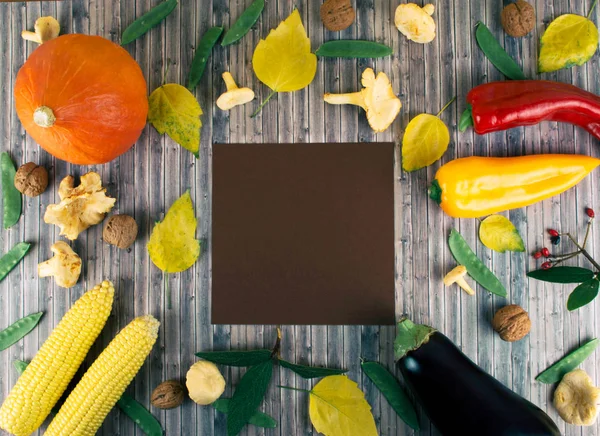 Vegetais sazonais frescos de outono em fundo de madeira . — Fotografia de Stock