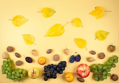 Sonbahar meyve ve fındık Sarı zemin üzerine. 