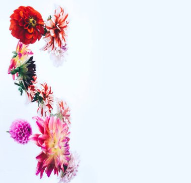 Parlak zemin üzerine güzel çiçekler levitating.