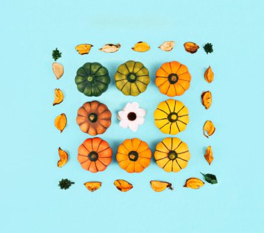 Mavi arka plan üzerinde dekoratif kabaklar.