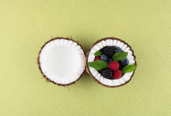 Cocco su sfondo verde con bacche . — Foto Stock