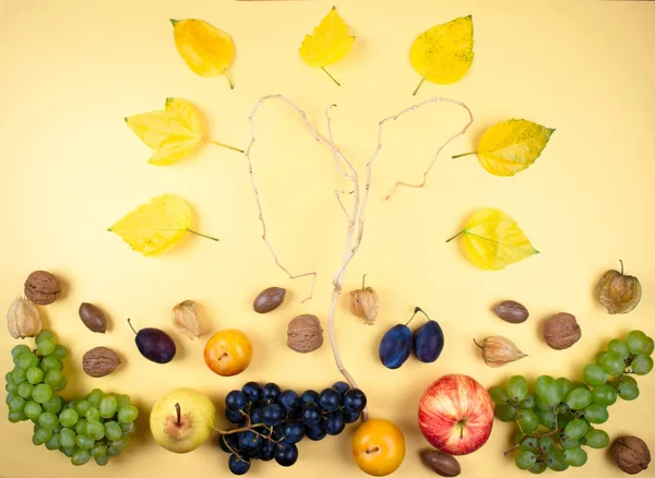 Herfst fruit en noten op gele achtergrond. — Stockfoto