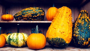 Organik kabak ile sonbahar natürmort.