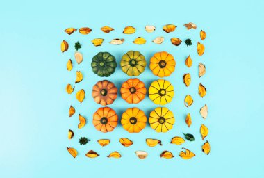 Mavi arka plan üzerinde dekoratif kabaklar.