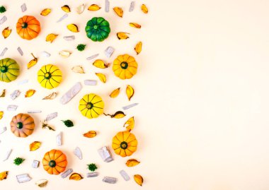 Bej renkli arka plan üzerinde dekoratif kabaklar.