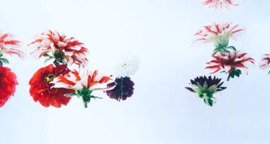 Su altında güzel çiçekler levitating.