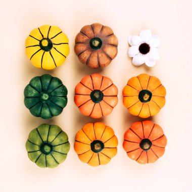 Bej renkli arka plan üzerinde dekoratif kabaklar.