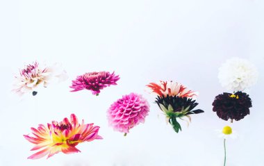 Su altında güzel çiçekler levitating.