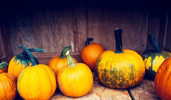 Organik kabak ile sonbahar natürmort.