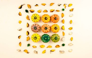 Bej renkli arka plan üzerinde dekoratif kabaklar.