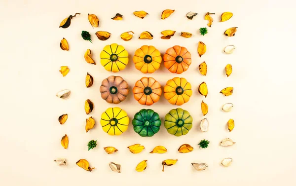 Bej renkli arka plan üzerinde dekoratif kabaklar.