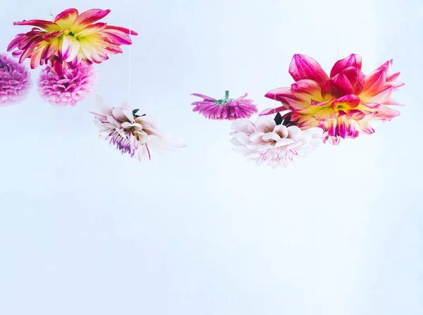 Zwevende mooie bloemen onder water. — Stockfoto
