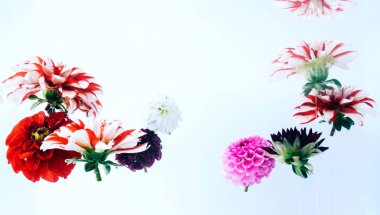 Su altında güzel çiçekler.