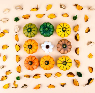 Bej renkli arka plan üzerinde dekoratif kabaklar.