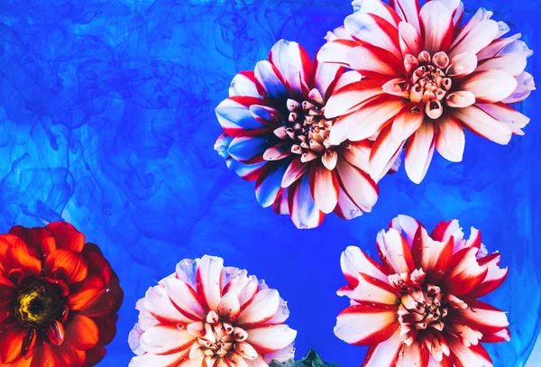 Su altında güzel çiçekler.