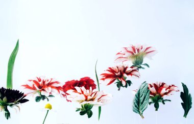 Su altında güzel çiçekler levitating.