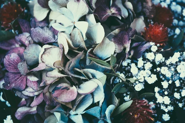 Marzycielski magia jesienne kwiaty. — Zdjęcie stockowe