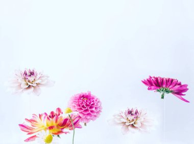 Su altında güzel çiçekler levitating.