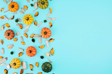 Mavi arka plan üzerinde dekoratif kabaklar.