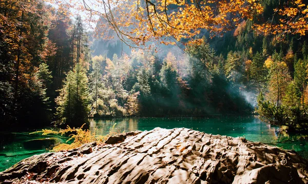 Jesień Czasie Romantyczny Lasu Jeziora Blausee Jeden Najbardziej Znanych Górskich — Zdjęcie stockowe