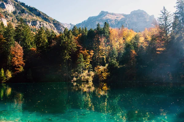 Hora de outono no lago da floresta blausee . — Fotografia de Stock