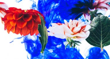 Su altında güzel çiçekler levitating.