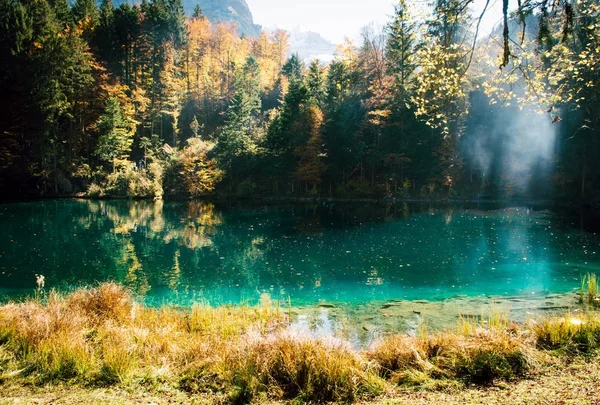 Jesienny czas w lesie jeziora blausee. — Zdjęcie stockowe