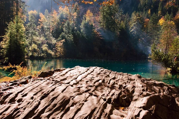 Jesienny czas w lesie jeziora blausee. — Zdjęcie stockowe