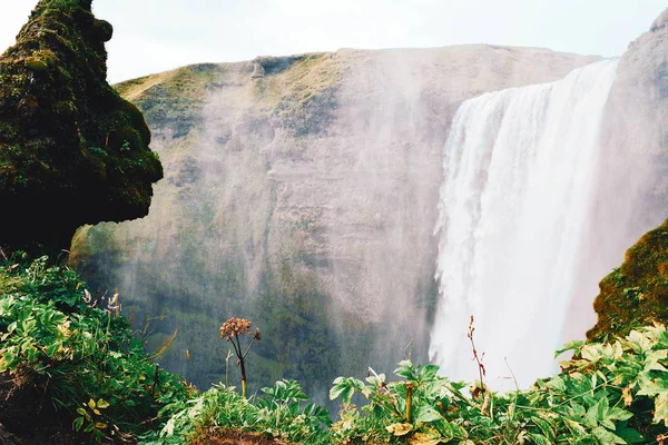 A famosa cachoeira Skogafoss . — Fotografia de Stock