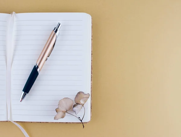 Imagem de vista superior do notebook com caneta . — Fotografia de Stock