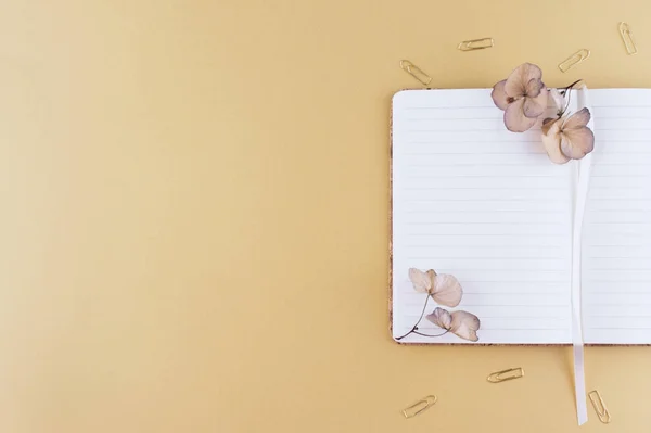 Bovenaanzicht afbeelding van laptop met met pen. — Stockfoto