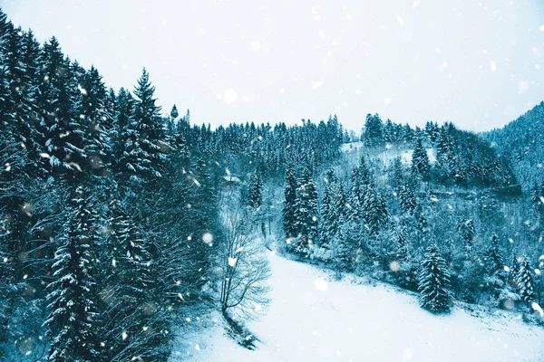 Csodálatos téli táj hóval borított fák. — Stock Fotó