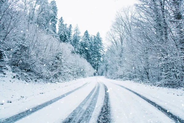 Strada innevata nella foresta invernale. — Foto Stock