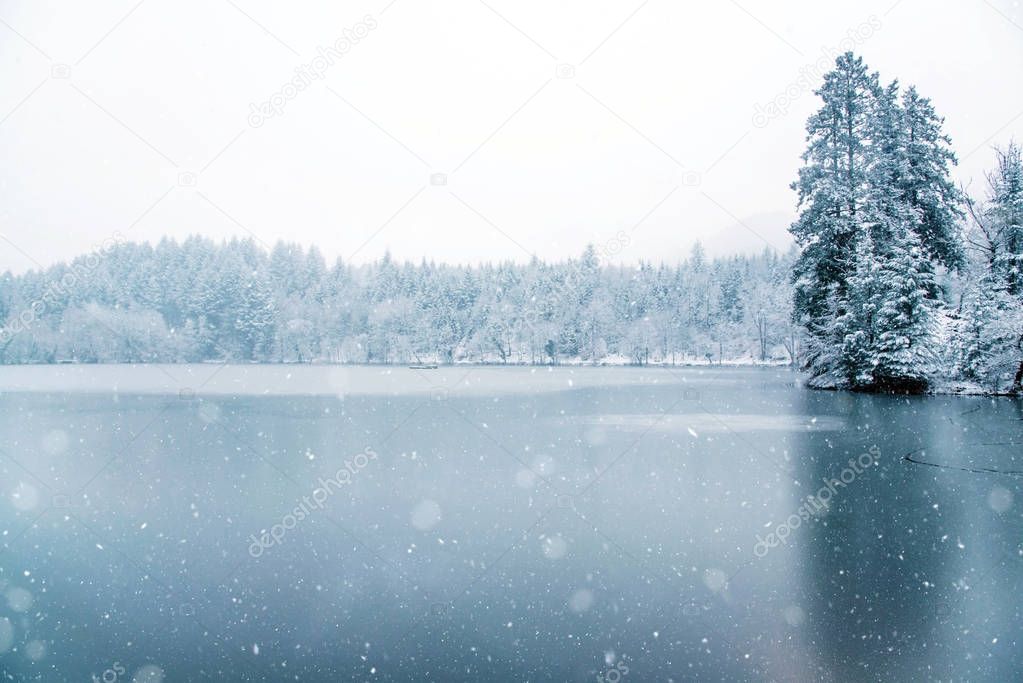 Frozen lake in snowy forest.