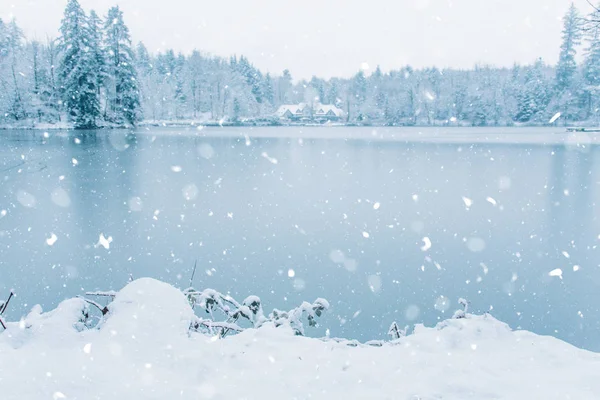 Maison d'hiver dans la forêt enneigée sur le lac . — Photo