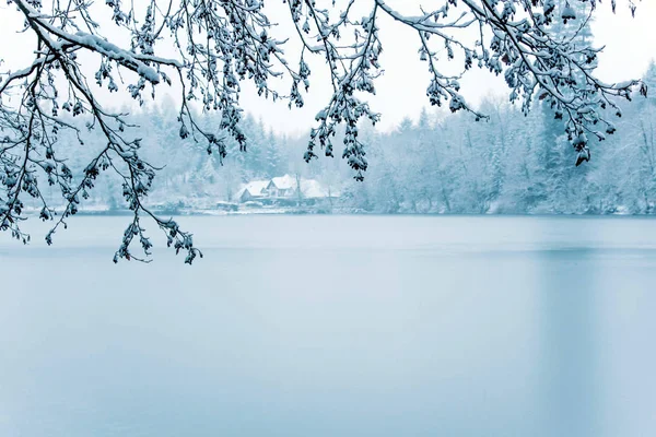 Заморожене озеро в засніженому лісі . — стокове фото