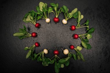 Siyah arka plan üzerine taze turp çerçeve.