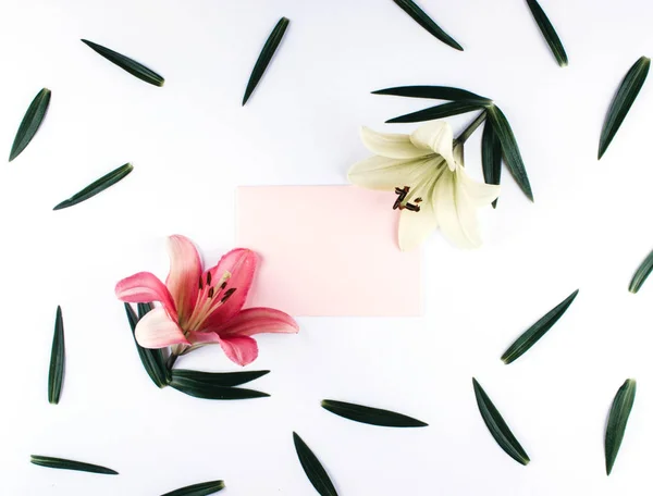 Coloridas flores de lirio y tarjeta de felicitación en blanco . —  Fotos de Stock
