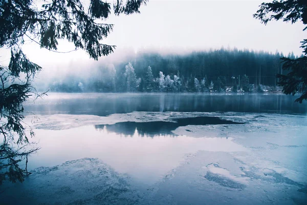 Lac gelé dans une forêt brumeuse . — Photo