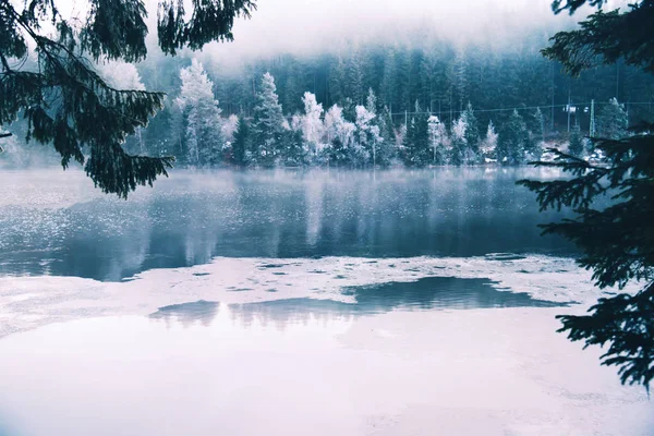 Frozen lake in snowy forest. — Stock Photo, Image
