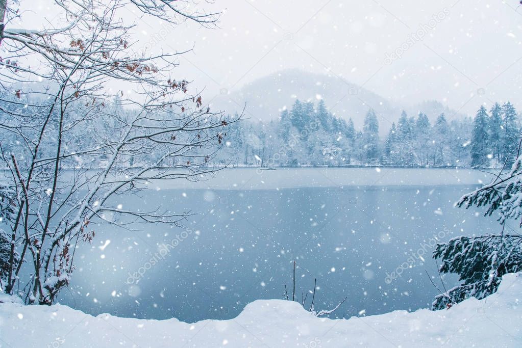 Frozen lake in snowy forest.