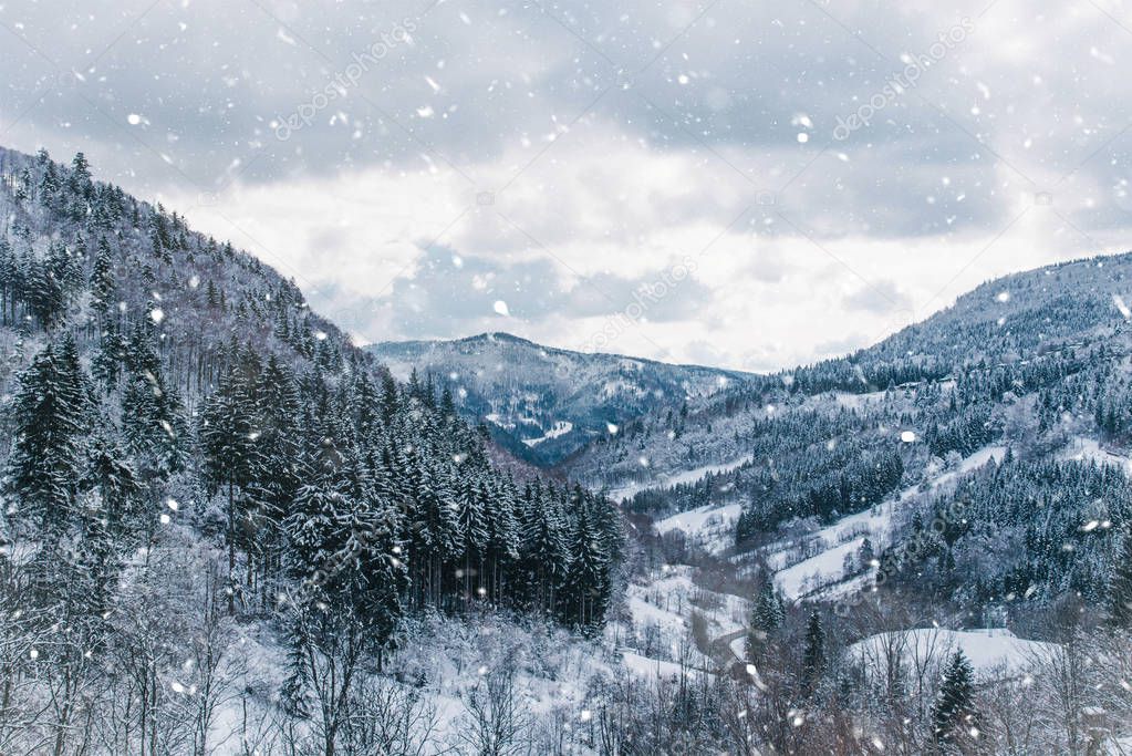 Winter landscape in the mountains.